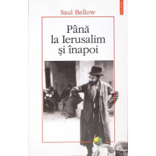 PANA LA IERUSALIM SI INAPOI
