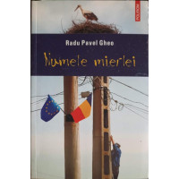 NUMELE MIERLEI NUMELE MIERLEI
