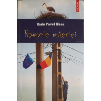 NUMELE MIERLEI