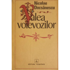 VALEA VOIEVOZILOR