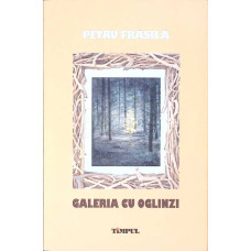 GALERIA CU OGLINZI