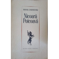 NICOARA POTCOAVA