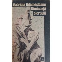 DIMINEATA PIERDUTA