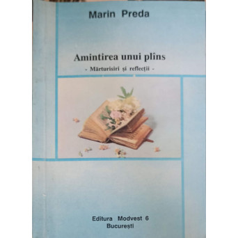 AMINTIREA UNUI PLANS. MARTURISIRI SI REFELCTII
