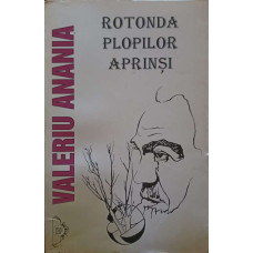 ROTONDA PLOPILOR APRINSI