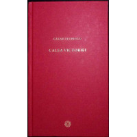 CALEA VICTORIEI
