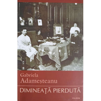 DIMINEATA PIERDUTA