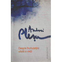 DESPRE FRUMUSETEA UITATA A VIETII DESPRE FRUMUSETEA UITATA A VIETII
