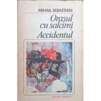 ORASUL CU SALCAMI. ACCIDENTUL ORASUL CU SALCAMI. ACCIDENTUL