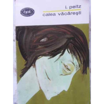 CALEA VACARESTI