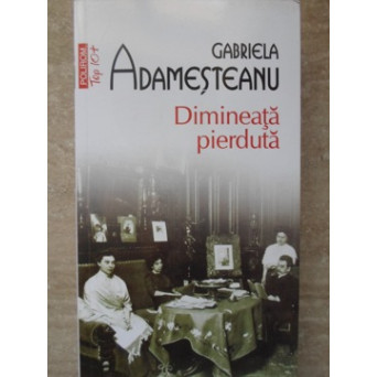 DIMINEATA PIERDUTA