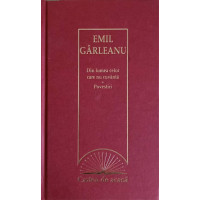 DIN LUMEA CELOR CARE NU CUVANTA. POVESTIRI