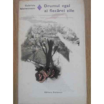 DRUMUL EGAL AL FIECAREI ZILE