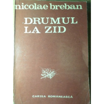 DRUMUL LA ZID