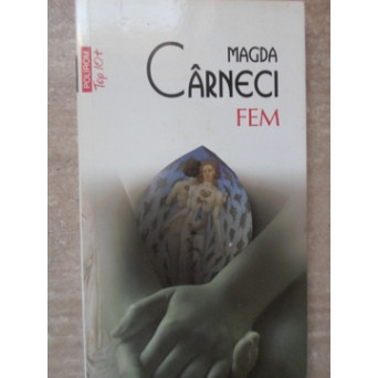 FEM