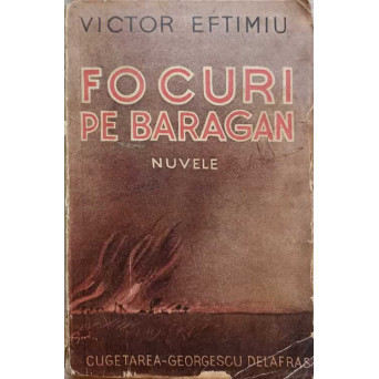 FOCURI PE BARAGAN. NUVELE