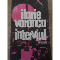 INTERVIUL 11 POVESTIRI