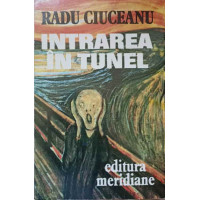 INTRAREA IN TUNEL