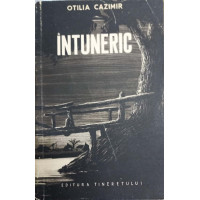 INTUNERIC. DIN CARNETUL UNEI DOCTORESE INTUNERIC. DIN CARNETUL UNEI DOCTORESE