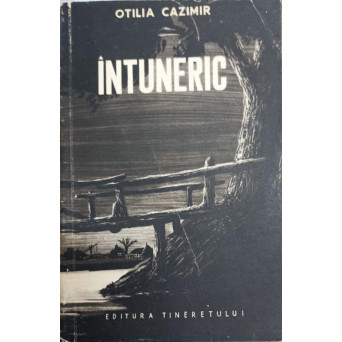 INTUNERIC. DIN CARNETUL UNEI DOCTORESE