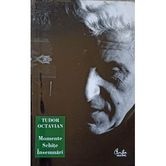 MOMENTE, SCHITE, INSEMNARI