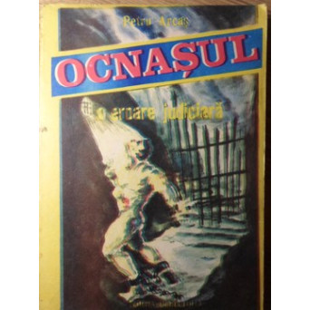OCNASUL. O EROARE JUDICIARA