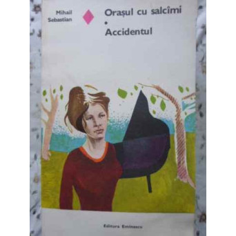 ORASUL CU SALCAMI. ACCIDENTUL