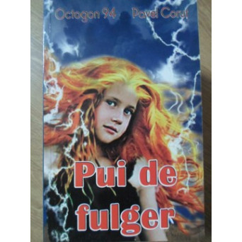 PUI DE FULGER
