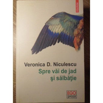 SPRE VAI DE JAD SI SALBATIE