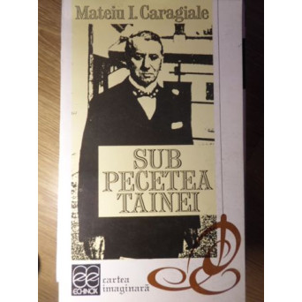 SUB PECETEA TAINEI