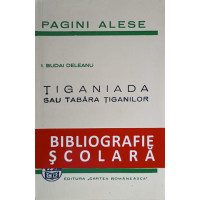 TIGANIADA SAU TABARA TIGANILOR TIGANIADA SAU TABARA TIGANILOR