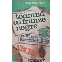 TOAMNA CU FRUNZE NEGRE TOAMNA CU FRUNZE NEGRE