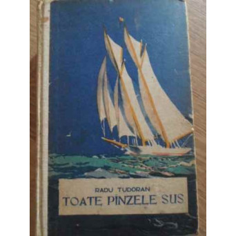 TOATE PANZELE SUS