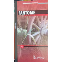 FANTOME: ZECE BIJUTERII FANTASTICE SEMNATE DE AUTORI ROMANI FANTOME: ZECE BIJUTERII FANTASTICE SEMNATE DE AUTORI ROMANI