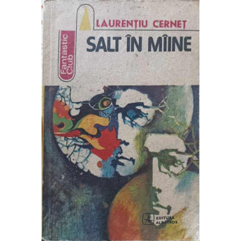 SALT IN MAINE