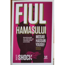 FIUL HAMASULUI