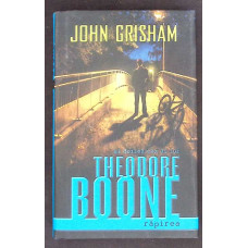 AL DOILEA CAZ AL LUI THEODORE BOONE RAPIREA AL DOILEA CAZ AL LUI THEODORE BOONE RAPIREA