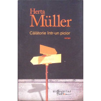 CALATORIE INTR-UN PICIOR CALATORIE INTR-UN PICIOR