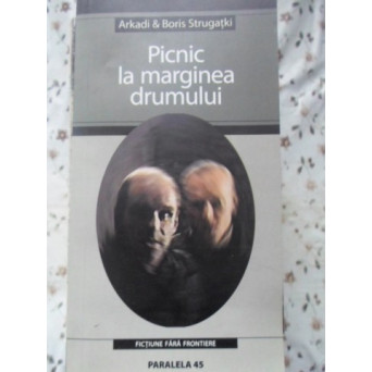 PICNIC LA MARGINEA DRUMULUI