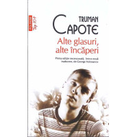 ALTE GLASURI, ALTE INCAPERI ALTE GLASURI, ALTE INCAPERI