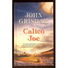 CALICO JOE