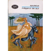 MAGARUL DE AUR MAGARUL DE AUR