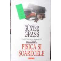 PISICA SI SOARECELE