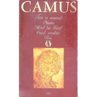 FATA SI REVERSUL. NUNTA. MITUL LUI SISIF. OMUL REVOLTAT. VARA