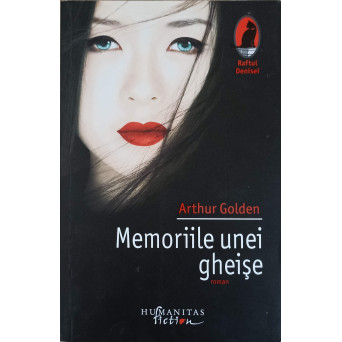 MEMORIILE UNEI GHEISE