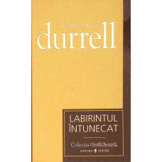 LABIRINTUL INTUNECAT