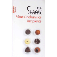 SFANTUL NEBUNIILOR INCIPIENTE