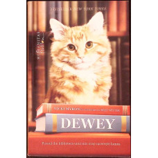 DEWEY. PISOIUL DIN BIBLIOTECA UNUI MIC ORAS CUCERESTE LUMEA