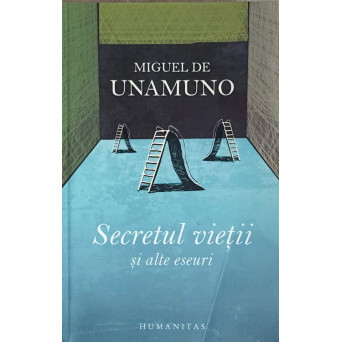 SECRETUL VIETII SI ALTE ESEURI
