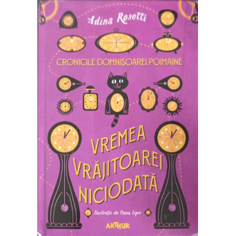 CRONICILE DOMNISOAREI POIMAINE. VREMEA VRAJITOAREI NICIODATA